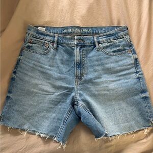American Eagle Outfitters Light Blue Denim Shorts